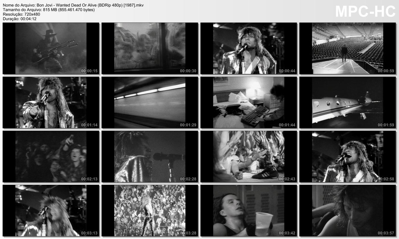 Bon Jovi - Wanted Dead Or Alive (BDRip 480p) [1987]