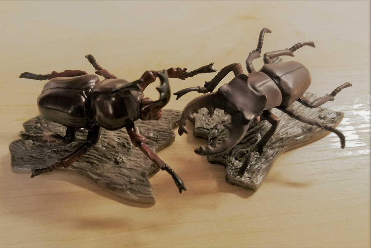 Beetle Battle, Series 1 and 2 (Epoch) 20181226-163841