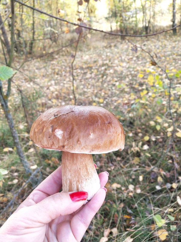 1AB7B943-9B86-4EAC-9C3D-5209447F52B3