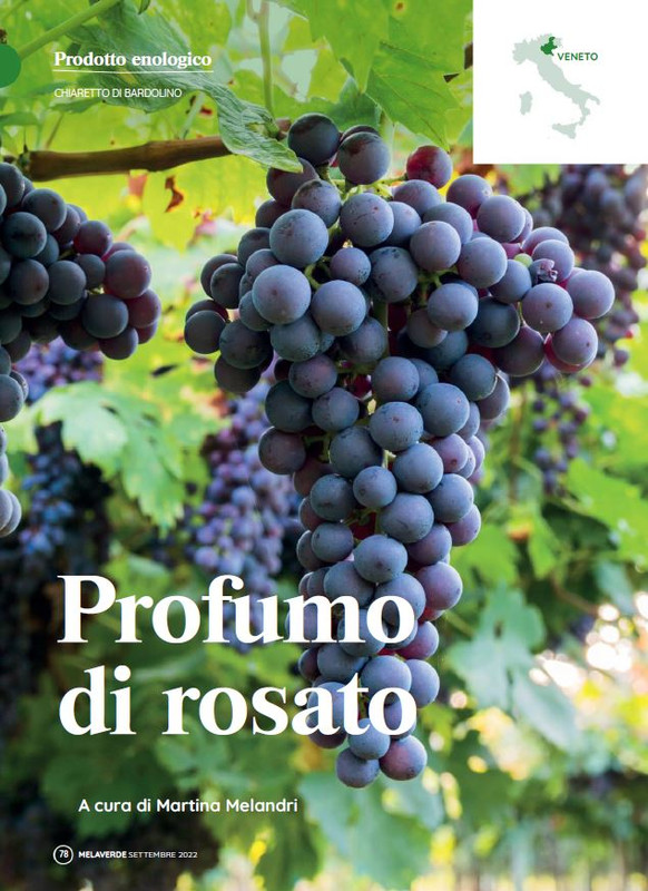 melaverde Set 2022 (9)