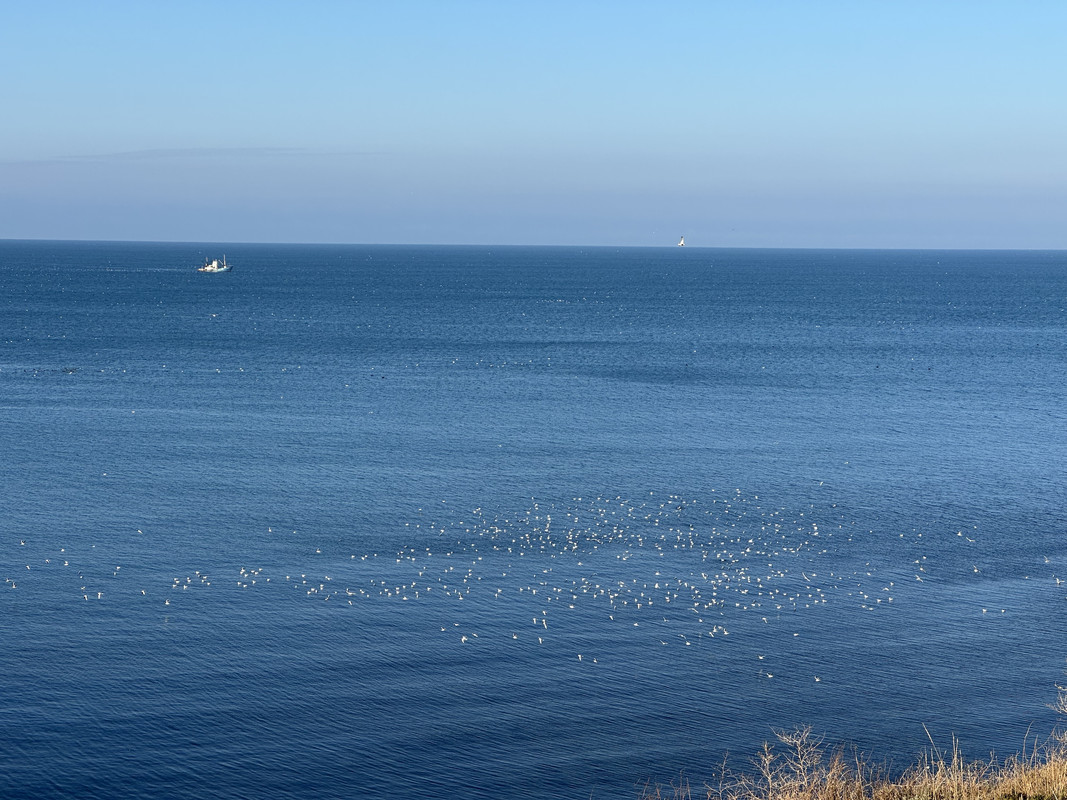 IMG-8374.jpg