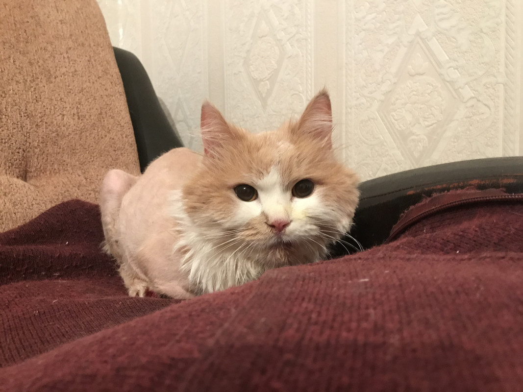 33AA7EA7-B31E-49AB-BBB8-C964453DBD88