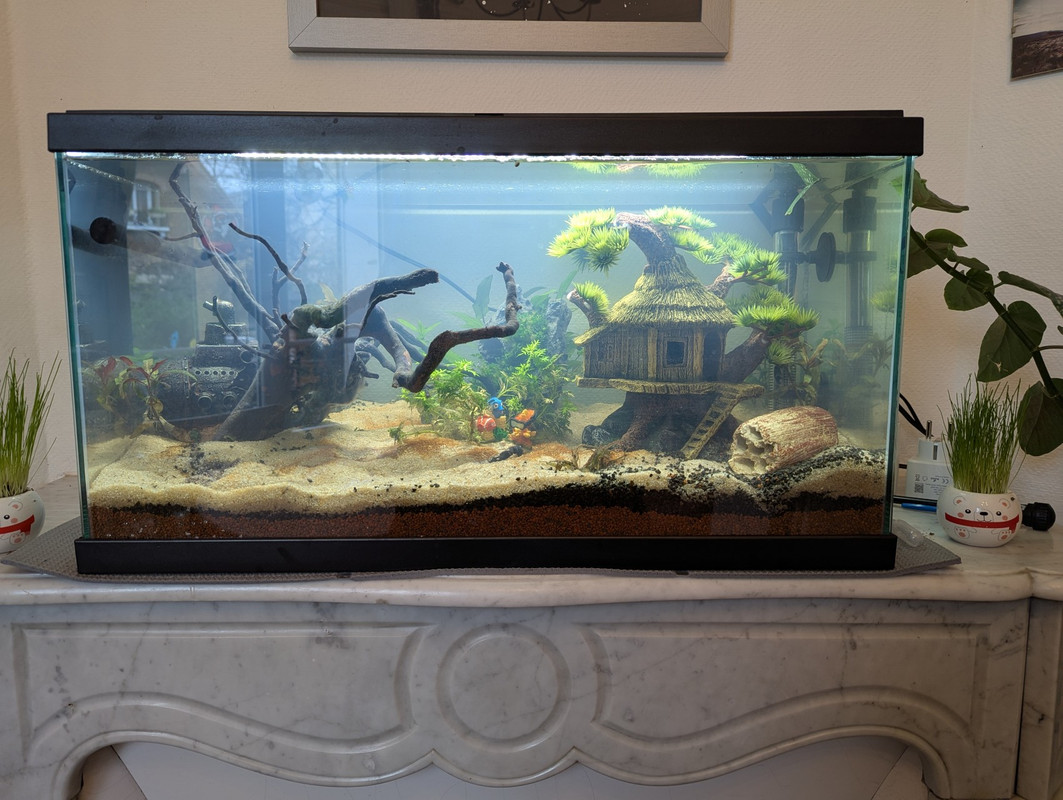 PXL_20250106_100257336.jpg_compressed