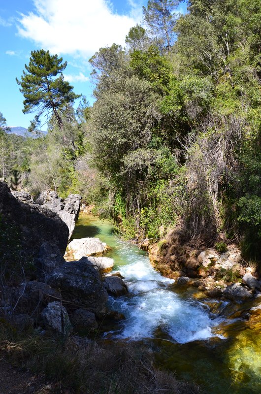 RUTA RIO BOROSA-12-3-2016-JAEN - Paseando por España-1991/2016 (34)