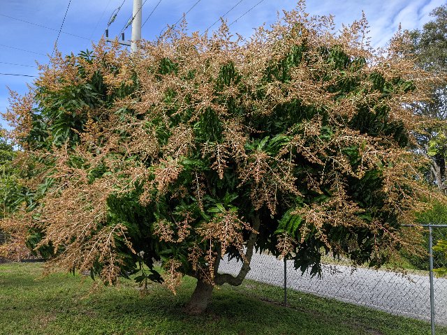 [Image: IMG-20200124-112207.jpg]