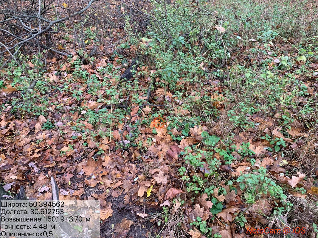 11032e05c61724ccb481a8310d8f97dd67e5