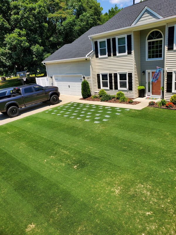 Turf paint killed my grass Lawn Care Forum