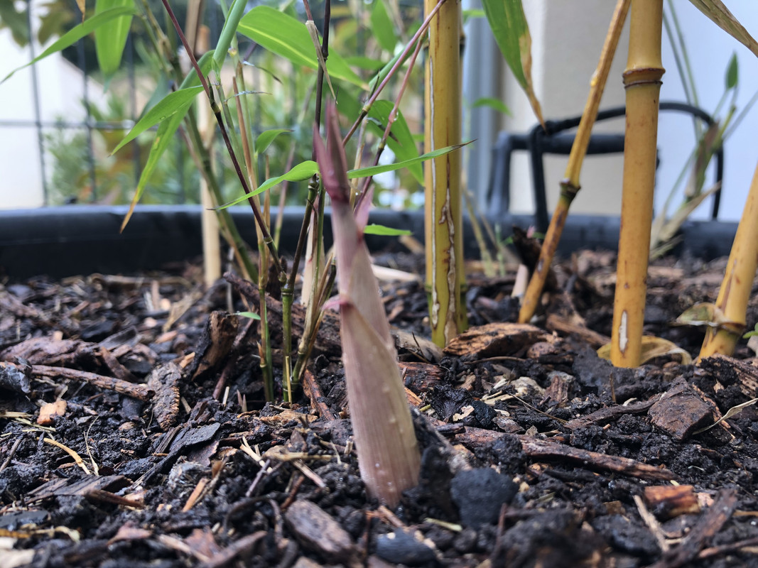 0C8FCBD9-5378-448F-B8DD-9C40F6D19F23