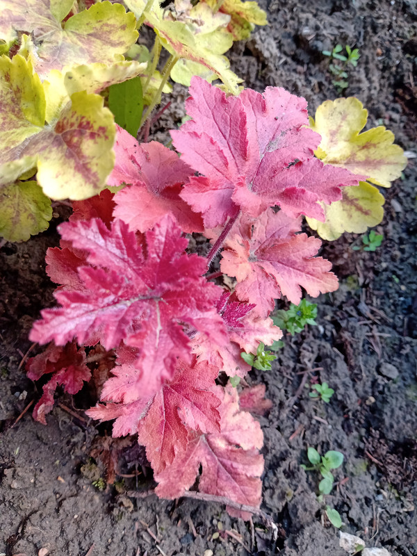 IMG_20230506_121038057