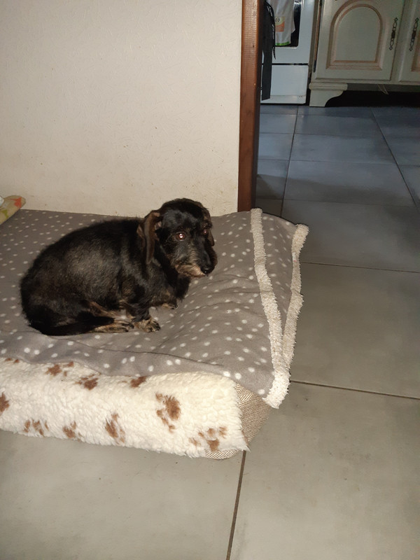 [Image: 20231204-111054.jpg]