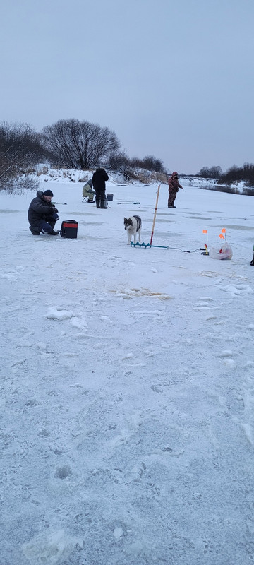 Еськи 25.11.2023 - 1