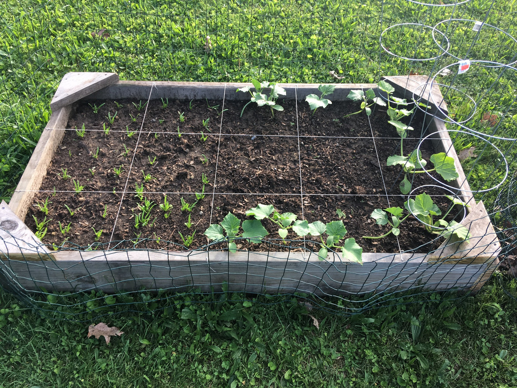 3945F11C-0D40-496C-B215-866717FA2E8C