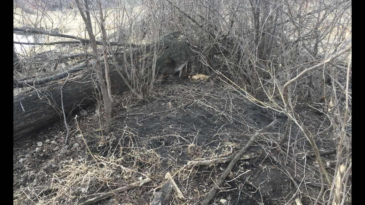 C42BB921-FF2B-4EA3-8081-A79321156CA7