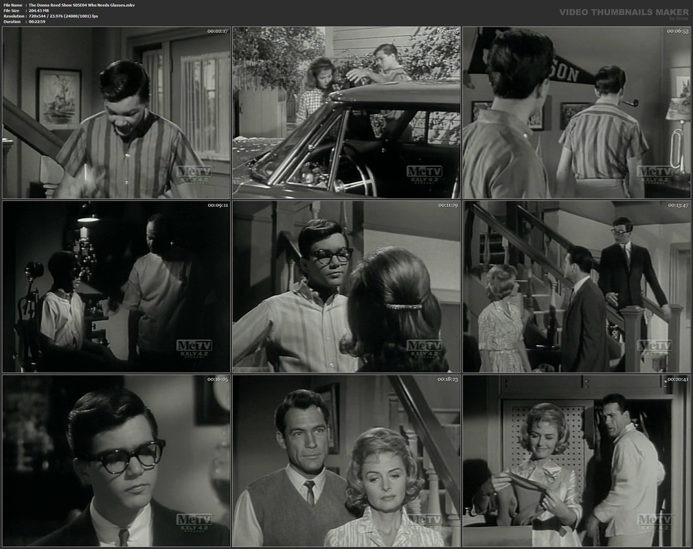 The Donna Reed Show S05E04 Who Needs Glasses.mkv