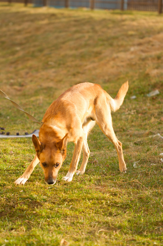 без имени-5363