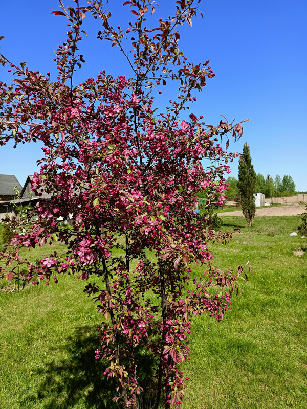 IMG-c02ee01351b499d6e18cc04d9374c7f4-V