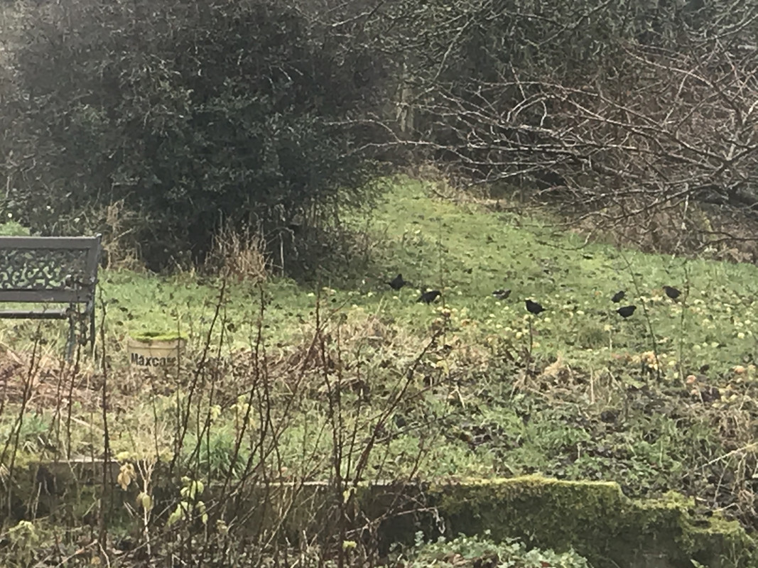 A7E88933-F244-4917-BBEC-2A602AB17F7D