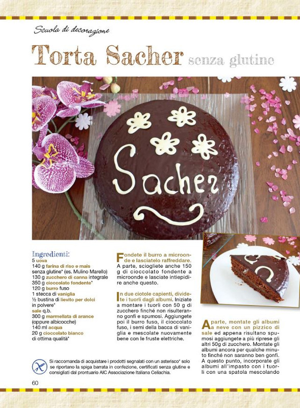 Tor D No Apr 2026 (5)