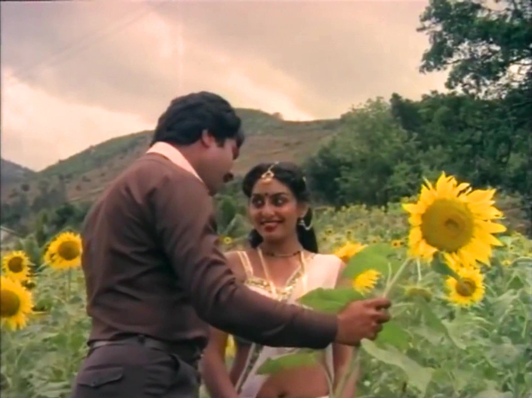 vlcsnap-2023-02-11-09h37m17s638