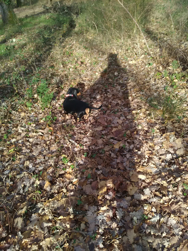 [Image: IMG-20230115-145359.jpg]