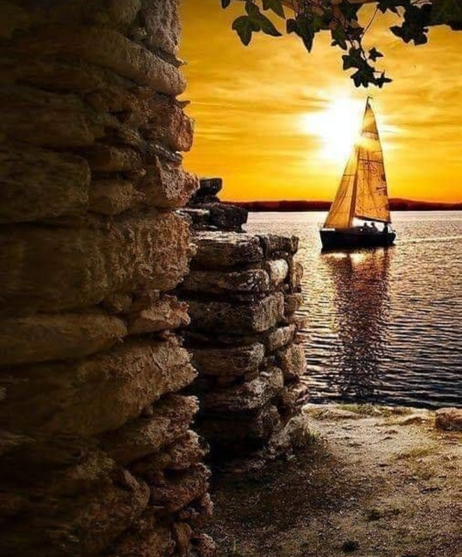 Screenshot_20230219_191659_Pinterest