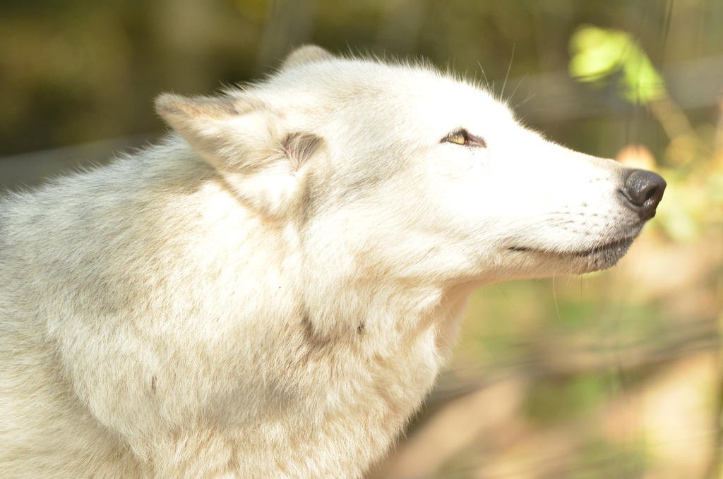 77AC8574-E85F-43B9-A562-F40A7BE05A8E