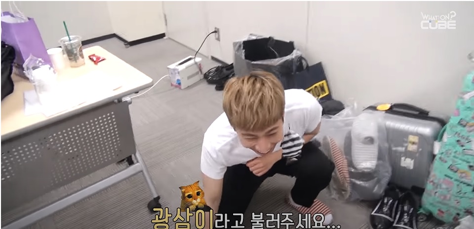 Eunkwang the cat plays with a fish