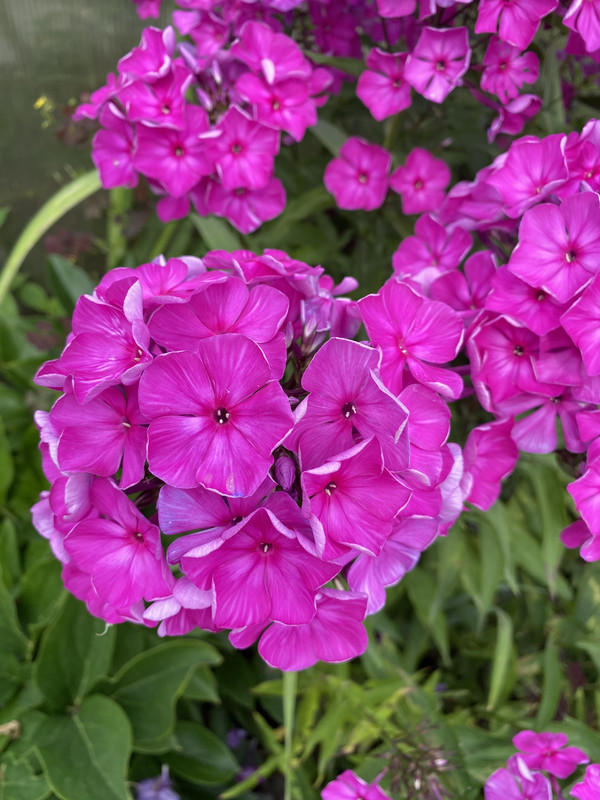 46A054D3-8098-4CF4-9583-8FAF4817E7D6