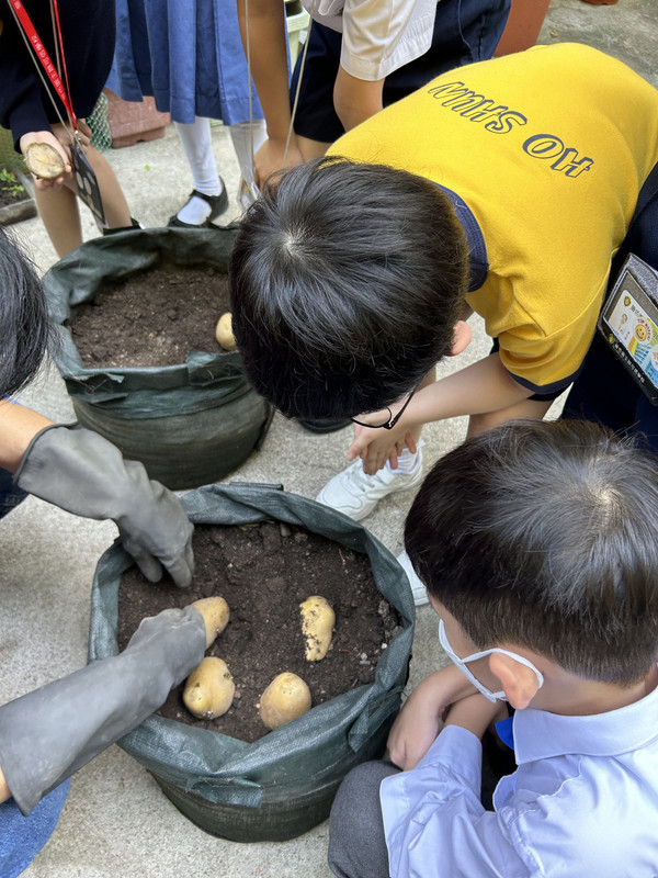 photo-littlefarmer2223-2A-006