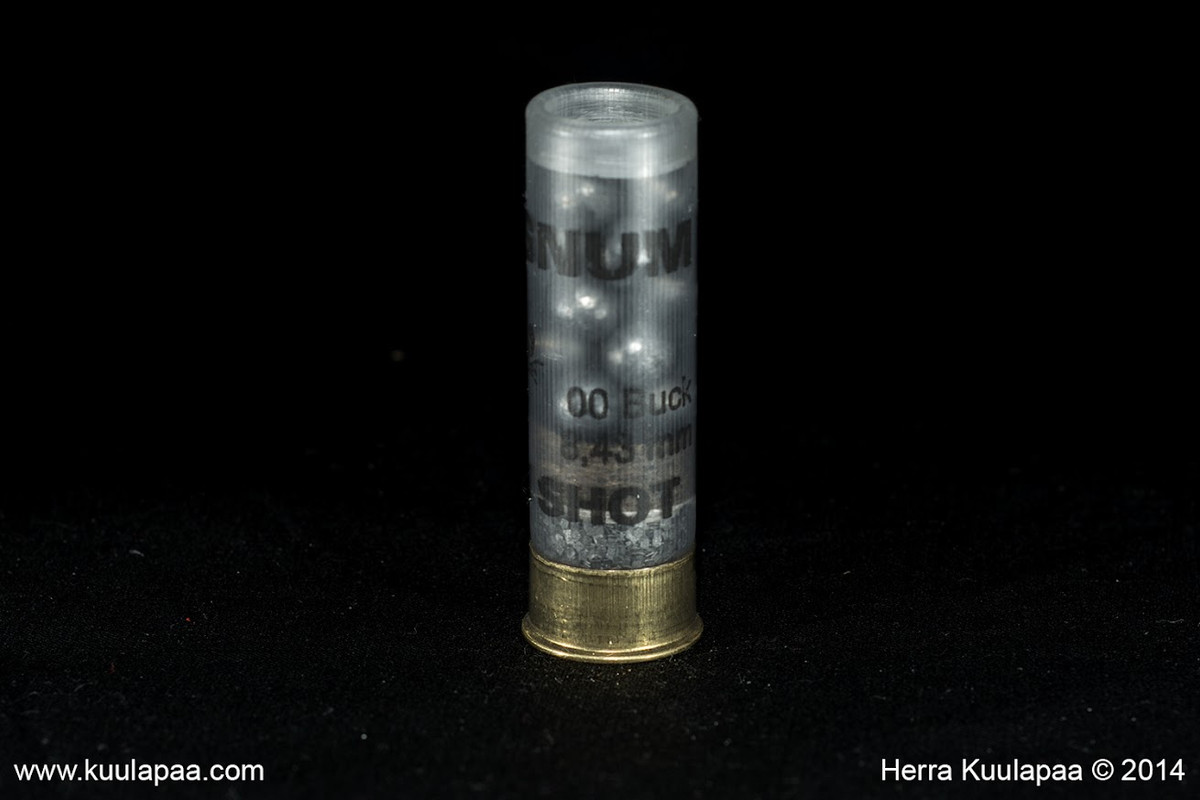 545381536a-Shotgundata-9_Buck2_F