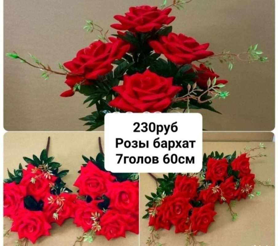https://i.postimg.cc/59K0Pynr/IMG-20240409-073627.jpg