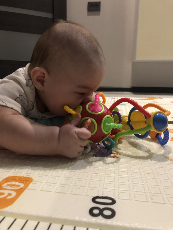 0E8D1DEE-699F-4169-A7DD-43B0A783A4EB