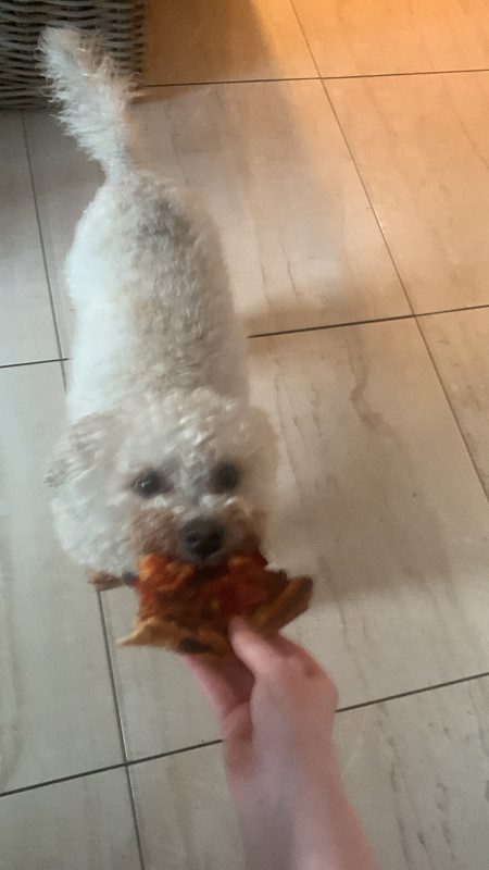 09ADB9B7-4700-4A89-9A06-37BEDE6F255A