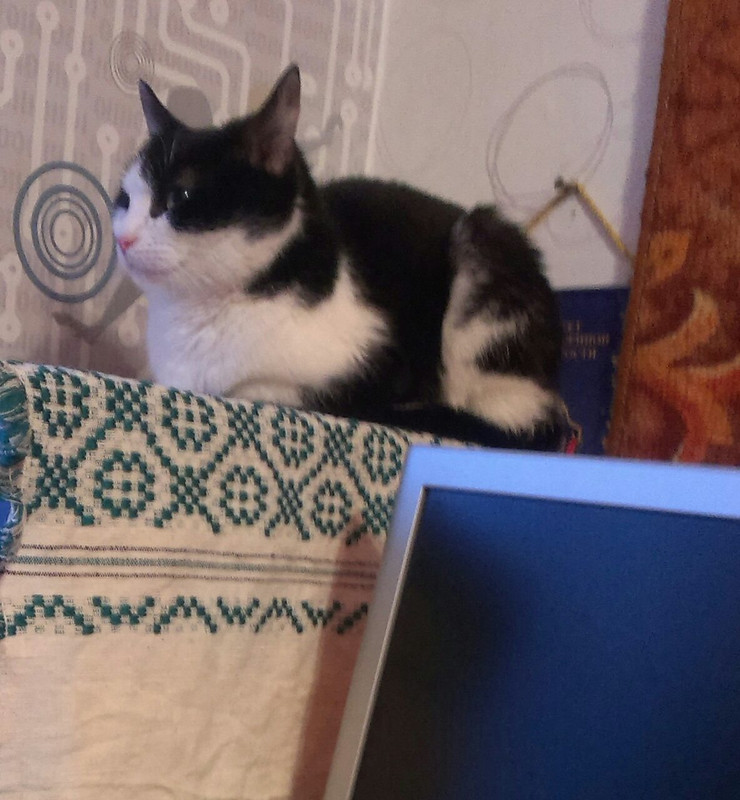 IMG-bd298337329de4c1c2e4c6a49b5703b3-V