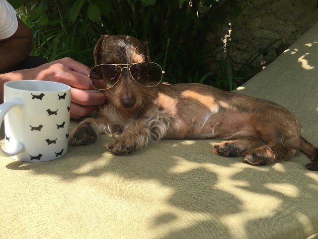 [Image: 27588-B06-7354-4830-AE2-C-C2583-D06-D038.jpg]