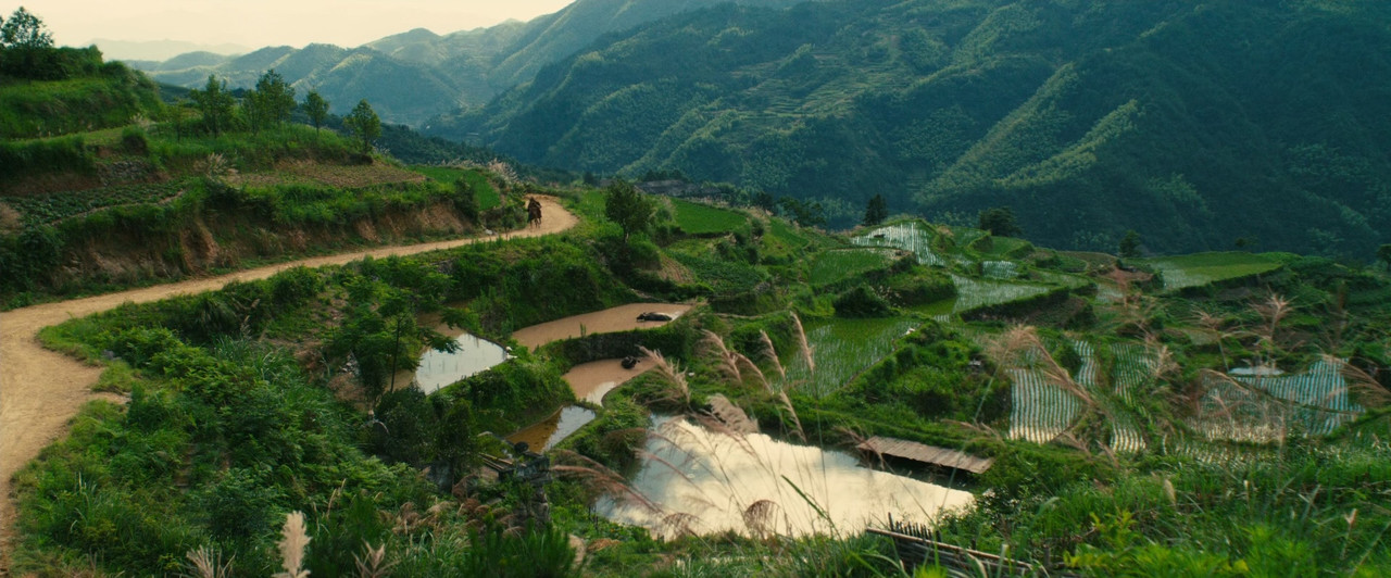 The Forbidden Kingdom 2008 (1080p x265 10bit Tig