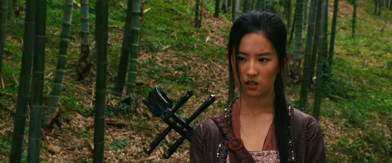 The Forbidden Kingdom 2008 (1080p x265 10bit Tig