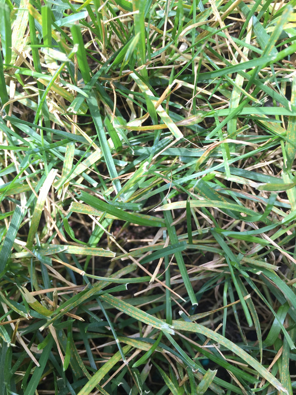 777D0F59-9390-4F1E-B010-346164C66599