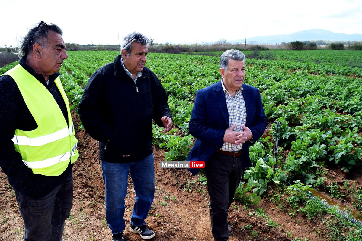 ΑΝΑΣΤΑΣΟΠΟΥΛΟΣDSC_0716