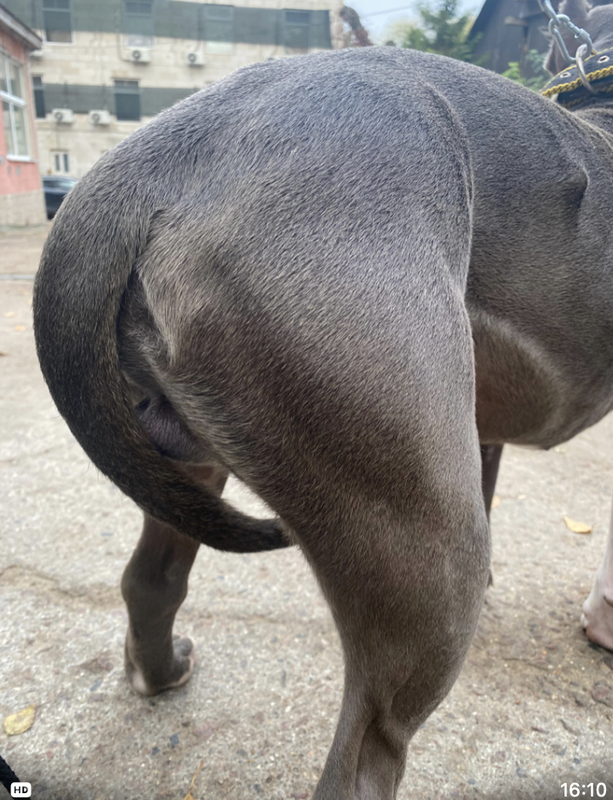 Снимок экрана 2024-10-28 в 19.52.19