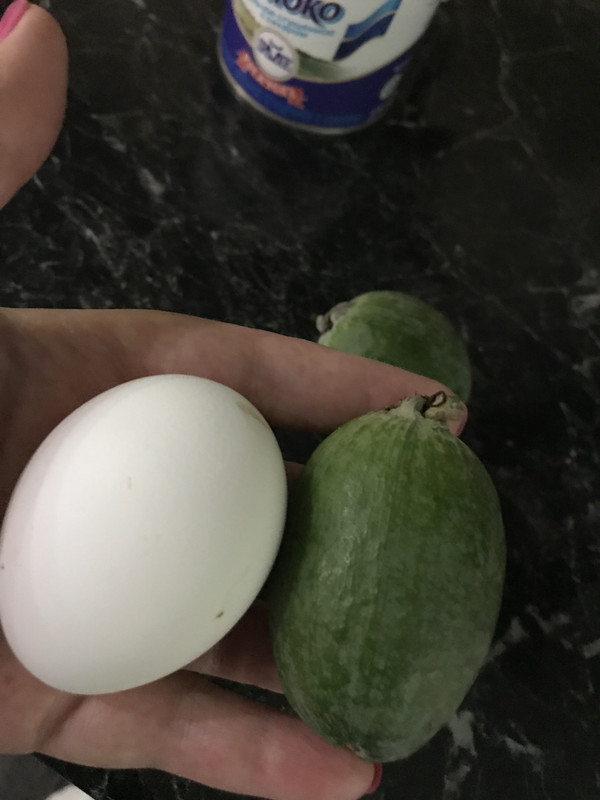 3682A10C-F325-4BA3-AFA5-03D31316B417