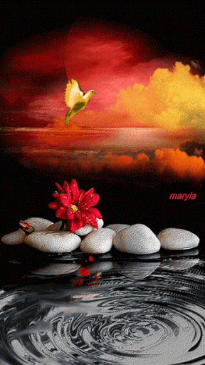 72c1abd1e468cefa2f40d9f8e4ace8f9