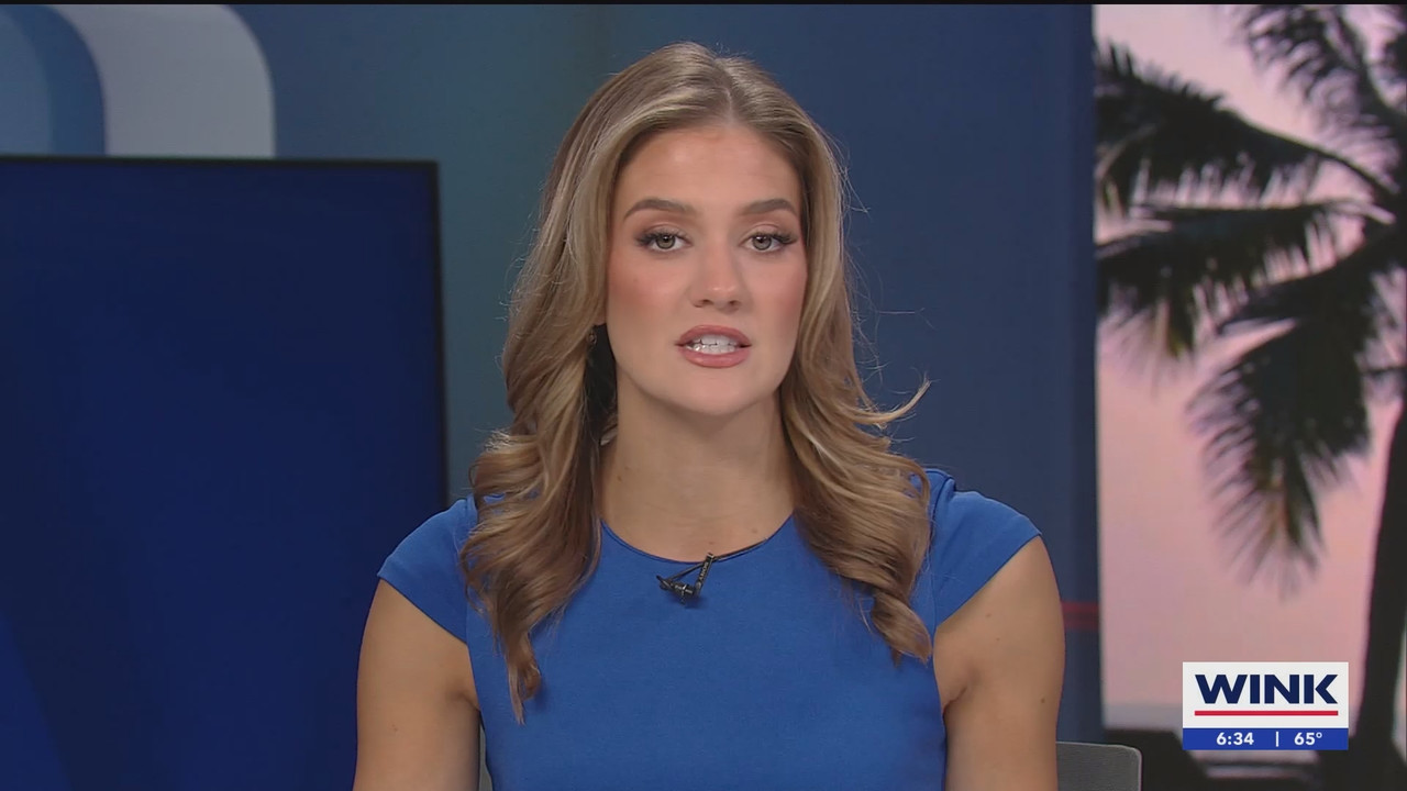 WINK NEWS at 600am Sunday_20250302_11001200.ts_snapshot_34.49.235