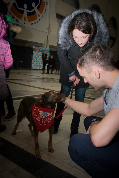 B6784831-5290-4487-A1A1-9B4959B58F9A