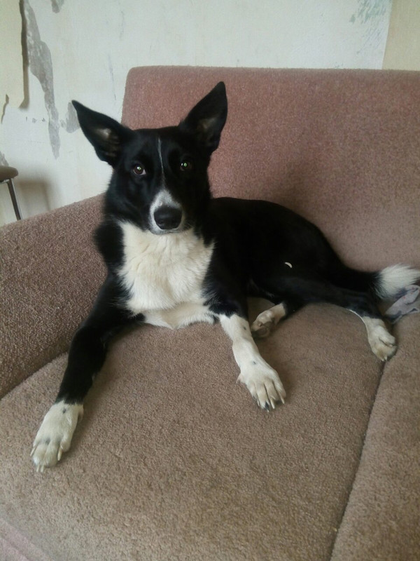 DFAC3C43-5FDB-4F1B-9383-F1DACBD8CE7F