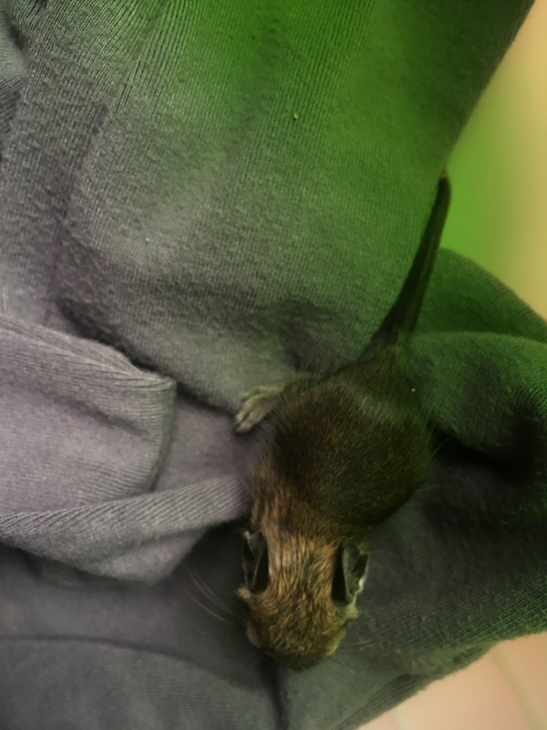 IMG_7464