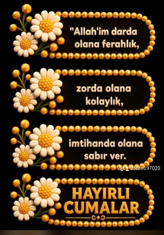 Whats App Image 2026 08 13 at 19 22 26
