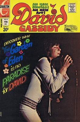 David Cassidy 10