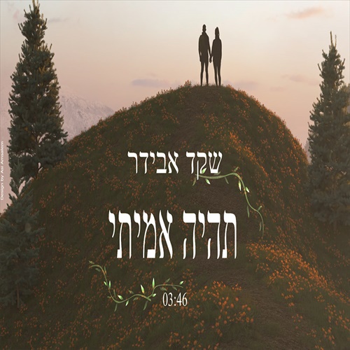 תמונה