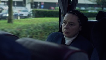 cat-2025-03-03-01h12m35s641-th